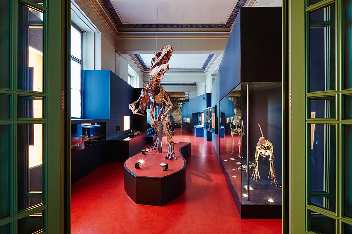 Dauerausstellung Dino und Saurier - Naturhistorisches Museum Basel © Gregor Brändli Dauerausstellung Dino und Saurier - Naturhistorisches Museum Basel © Gregor Brändli