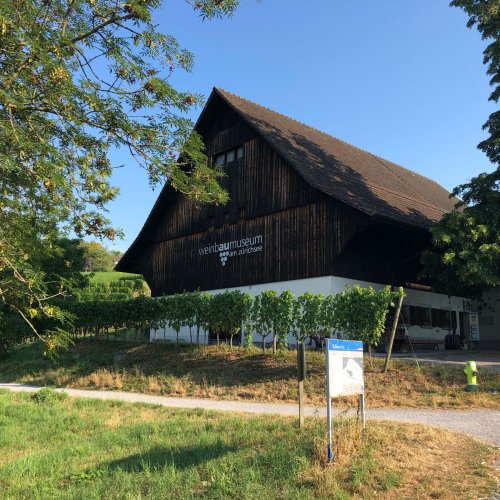 Weinbaumuseum in Au am Zürichsee