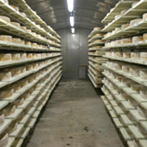 Schaukäserei der Leventina (Airolo)