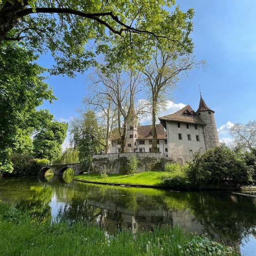 Museum für Wild und Jagd im Schloss Landshut in Utzenstorf