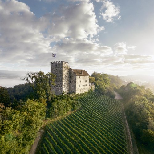 Schloss Habsburg